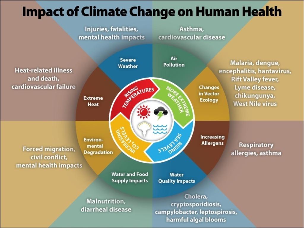 Impact of climate change on human healthcare (Source: US CDC)